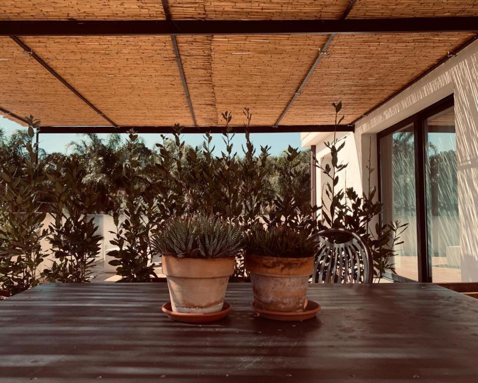 Petrasicula Apartment Aci Trezza Exteriér fotografie